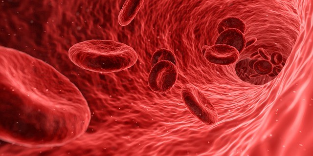 How to reduce homocysteine levels naturally