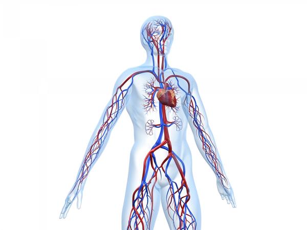Measuring fat-soluble Blood Independent Cardiovascular Risk Factor